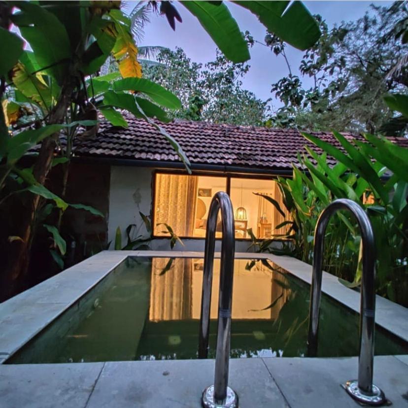 Sunsets And Palm Trees Bed & Breakfast Alappuzha Bagian luar foto
