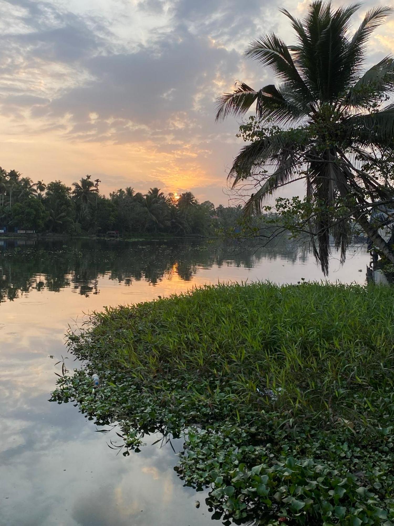 Sunsets And Palm Trees Bed & Breakfast Alappuzha Bagian luar foto