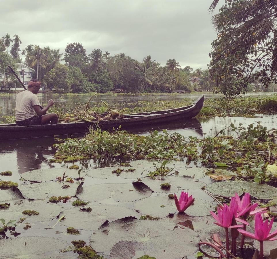 Sunsets And Palm Trees Bed & Breakfast Alappuzha Bagian luar foto